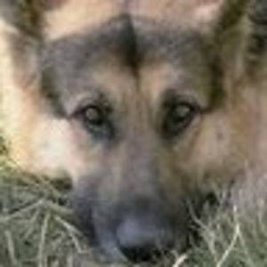 Meet your Posher, E2moma